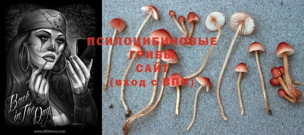 таблы Абинск