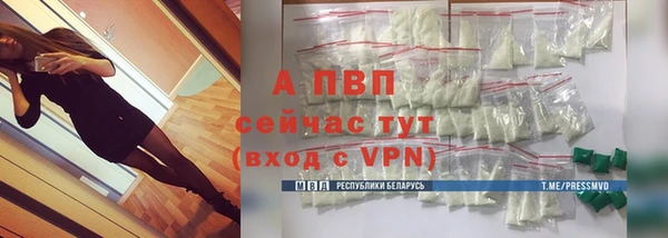 СК Абдулино
