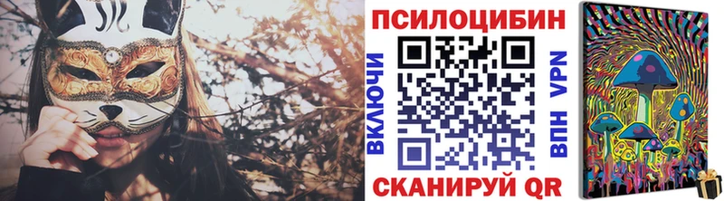Псилоцибиновые грибы Psilocybine cubensis  Назрань 