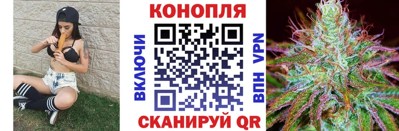 дарнет шоп Назрань Конопля сатива